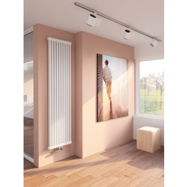 designradiator Classic 2: Ral 9016 wit voor de woonkamer